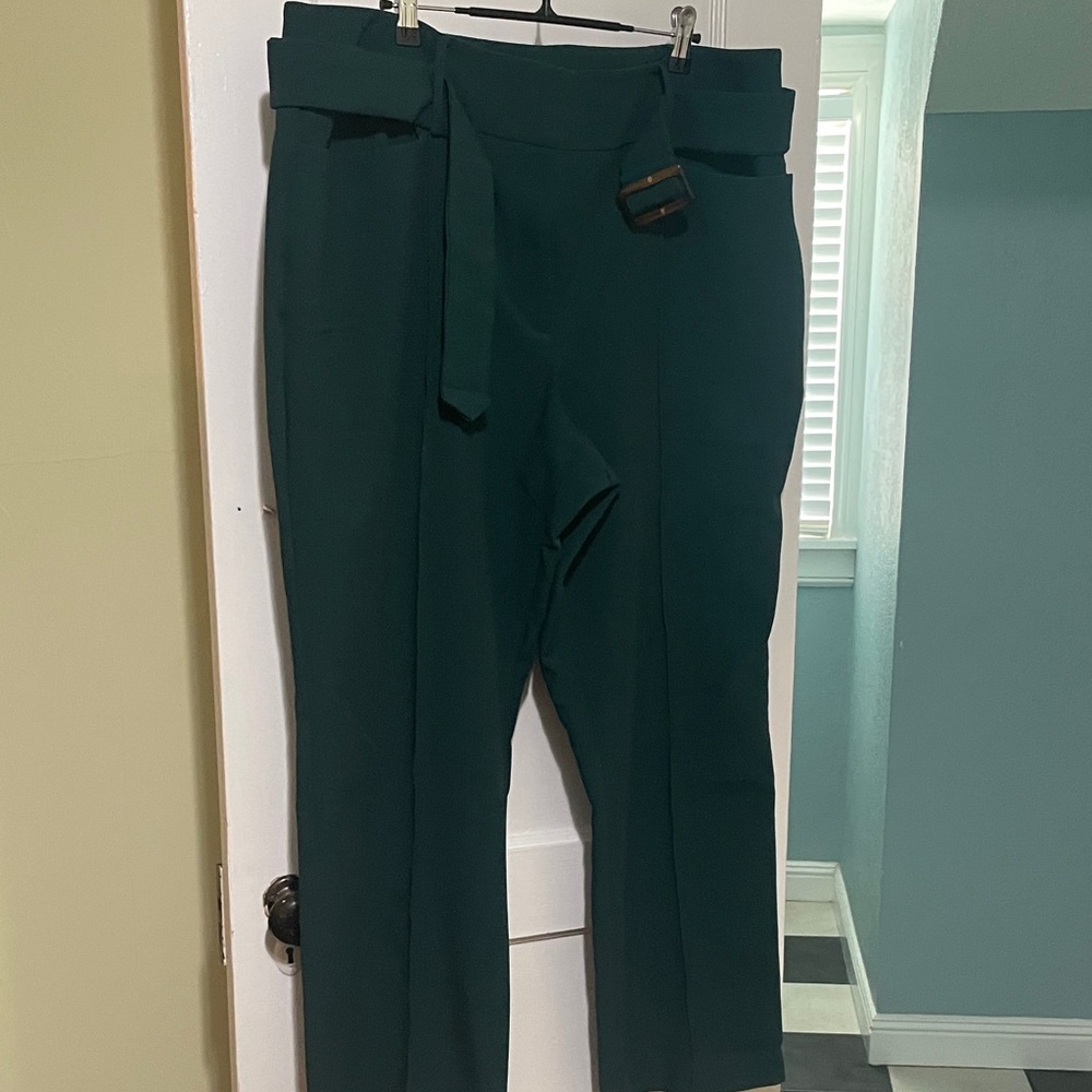 Ann Taylor Factory Dark Green Women's Trousers
